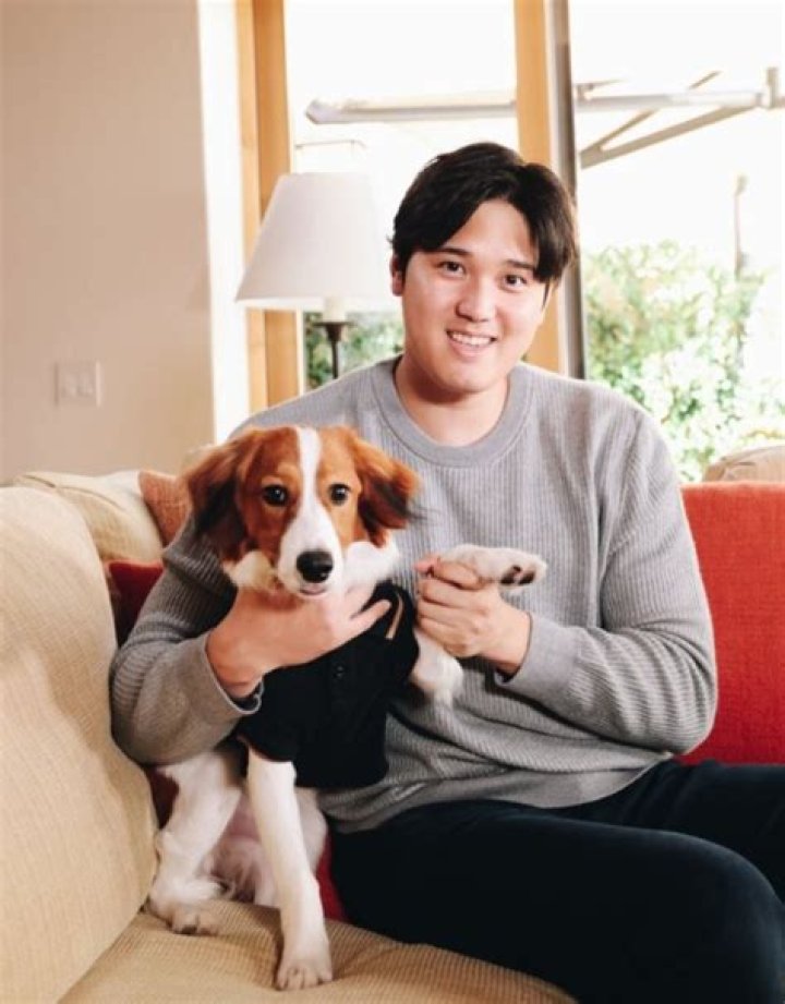 “Ahole Eddie” The Rescue Dog Went Viral for Being a Jerk, Now Using His Fame To Give Back to His Shelter