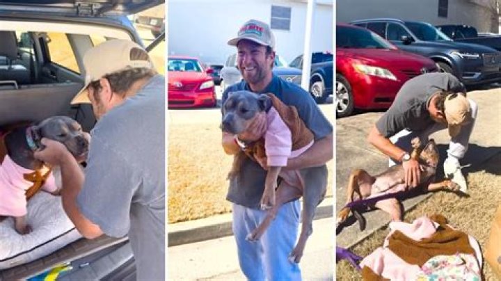 Barstool Sports Founder Dave Portnoy’s New Rescue Pitbull Is Already Giving Back