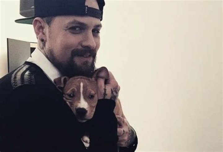 Benji Madden Pets - Celebrity Pets