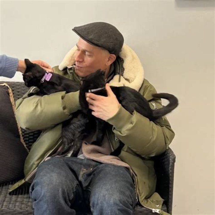 Charlie Hunnam Pets - Celebrity Pets