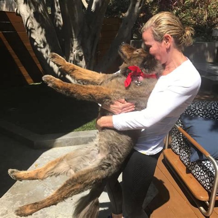 Chelsea Handler Pets - Celebrity Pets