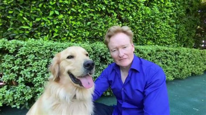 Conan O'Brien Pets - Celebrity Pets
