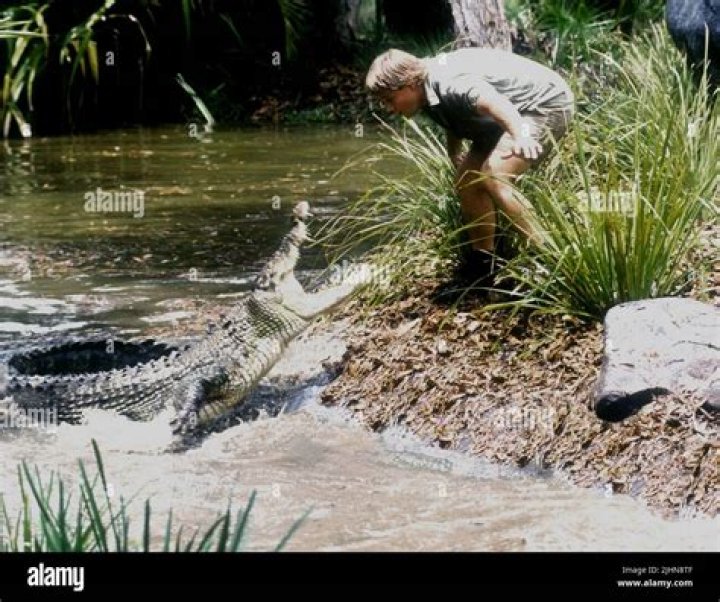 Crocodile Hunter Steve Irwin gets star on Hollywood Walk of Fame