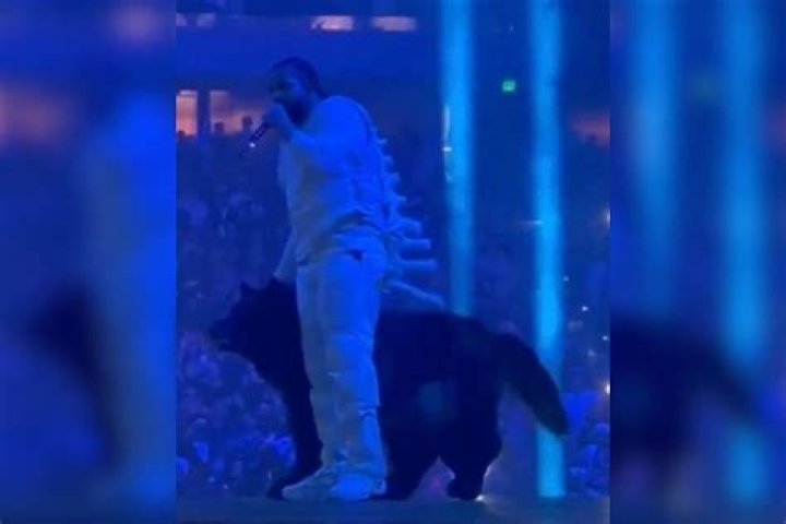 Drake has 'man dressed as dog' join him on stage and fans are flabbergasted