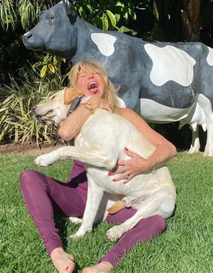 Goldie Hawn Pets - Celebrity Pets