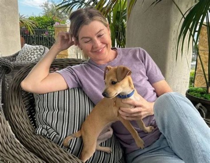 ‘Grey’s Anatomy’ Star Ellen Pompeo Adds New Puppy to Her Rescue Dog Gang