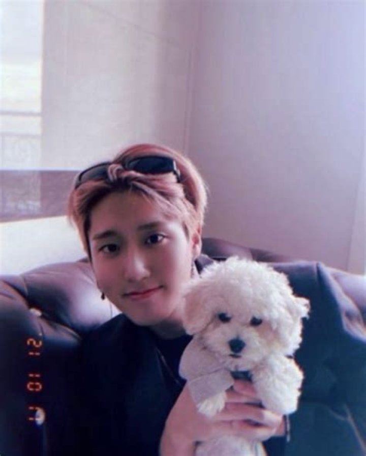 Han Jisung Pets - Celebrity Pets