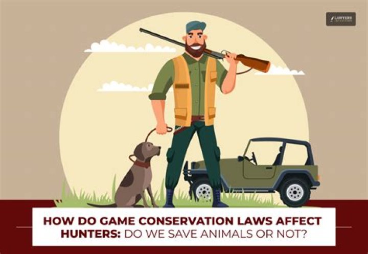 How Do Game Conservation Laws Affect Hunters?