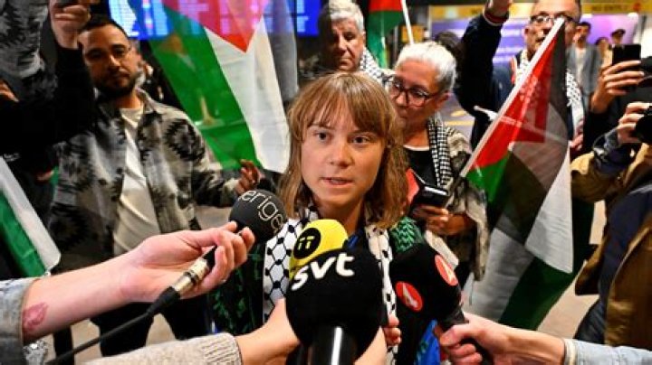 Is Greta Gerwig Gay or Bi? What's Her Actual Sexuality?