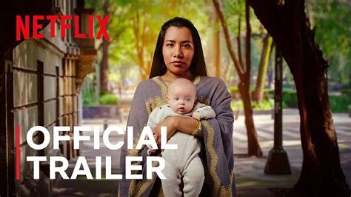 Is The Surrogacy on Netflix based on a true story?