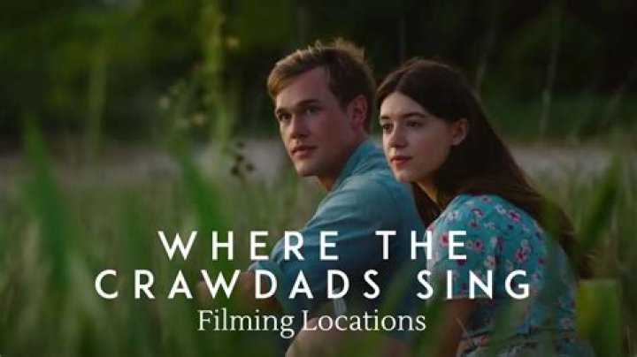 When will Where the Crawdads Sing be on Netflix?
