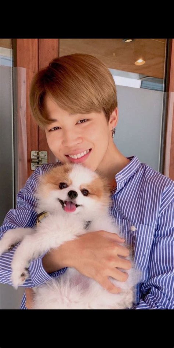 Jimin Pets - Celebrity Pets