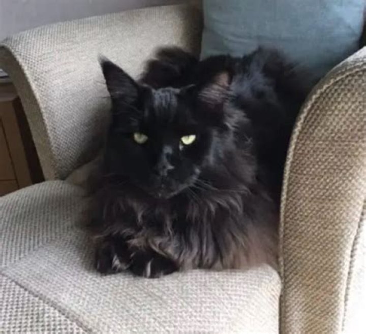 John Cleese Pets - Celebrity Pets