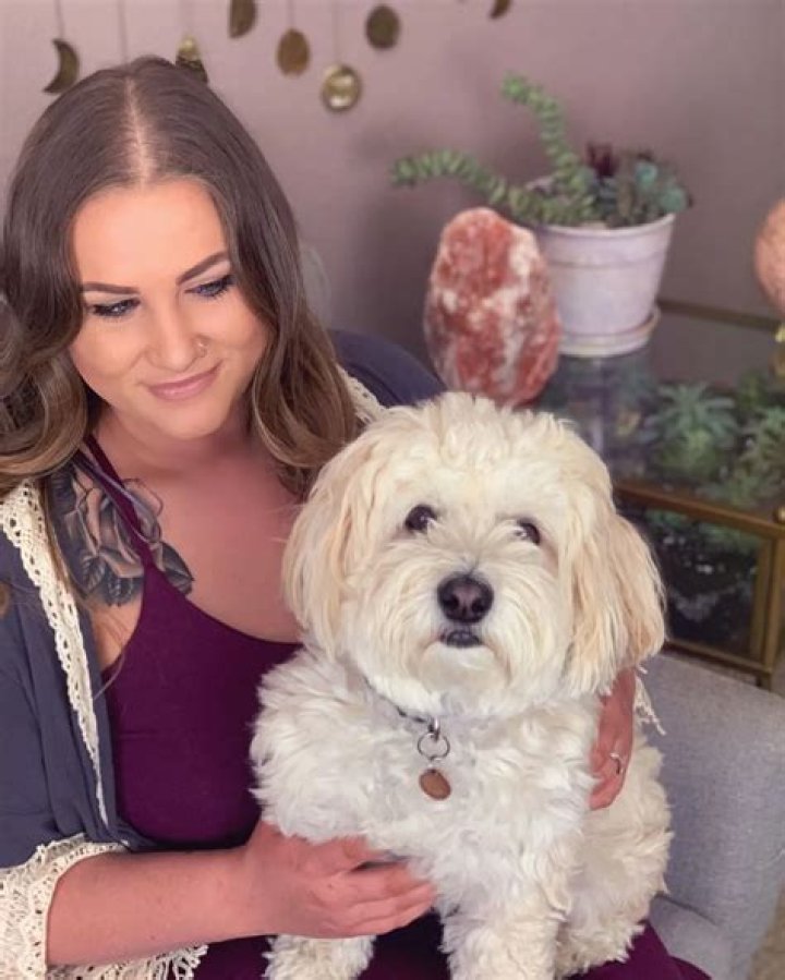 Kendall Rae Pets - Celebrity Pets