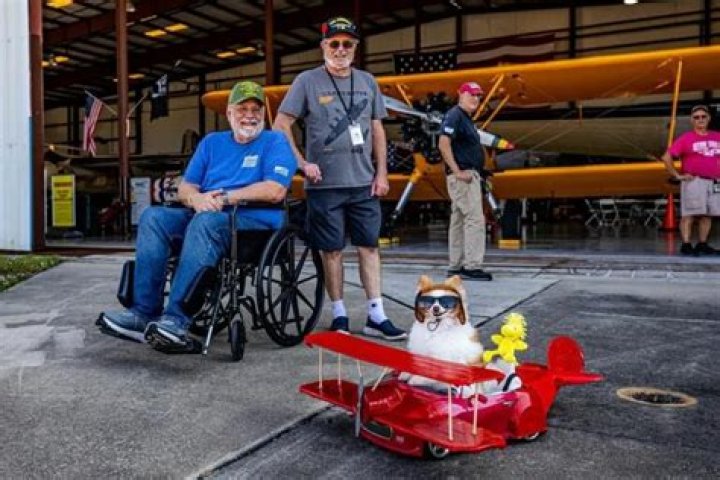 Koda The Fluff is a Therapy Dog Hugging it Out One Person at a Time