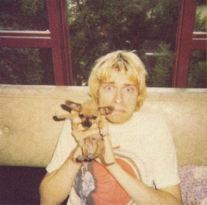Kurt Cobain Pets - Celebrity Pets