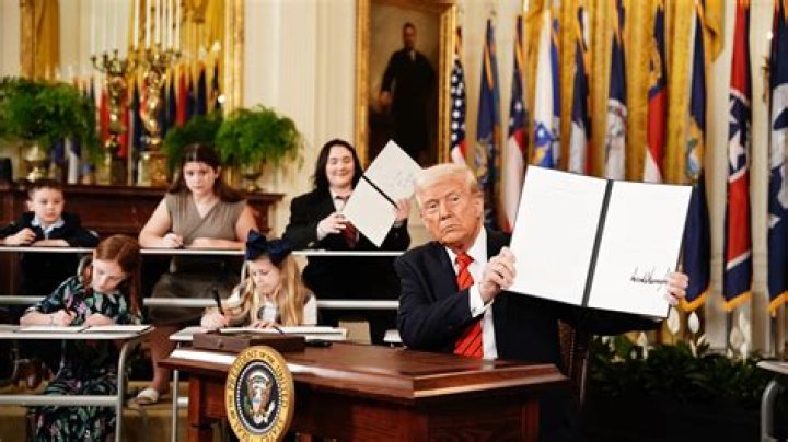 10 Things You’d Learn from a Donald Trump Education