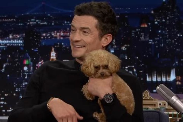 Video of Orlando Bloom playing with puppy is straight fire