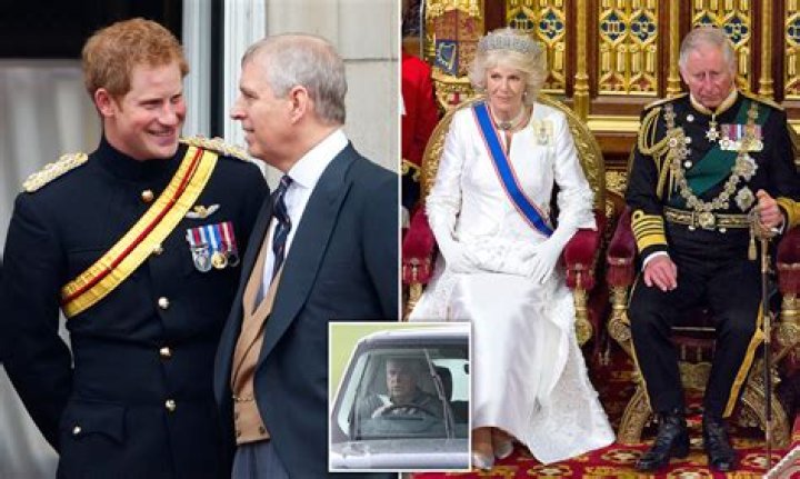 Prince Harry went on a disastrous grocery shopping trip which caused him to 'panic'