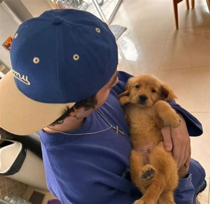 Rodrigo Carrera Pets - Celebrity Pets