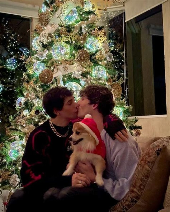 Sebb Argo Pets - Celebrity Pets