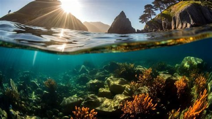10 Best Places to Go Snorkeling in California