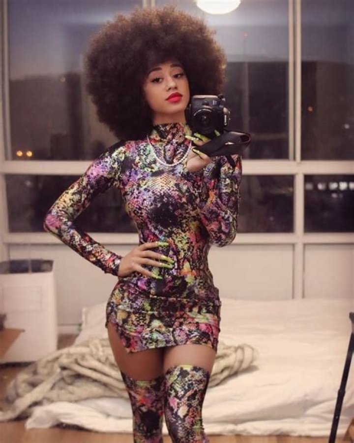 Stormi Maya Pets - Celebrity Pets