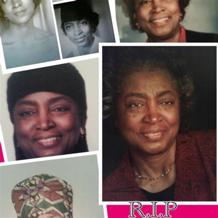 The Strays release date, cast, synopsis, photos, trailer, and more