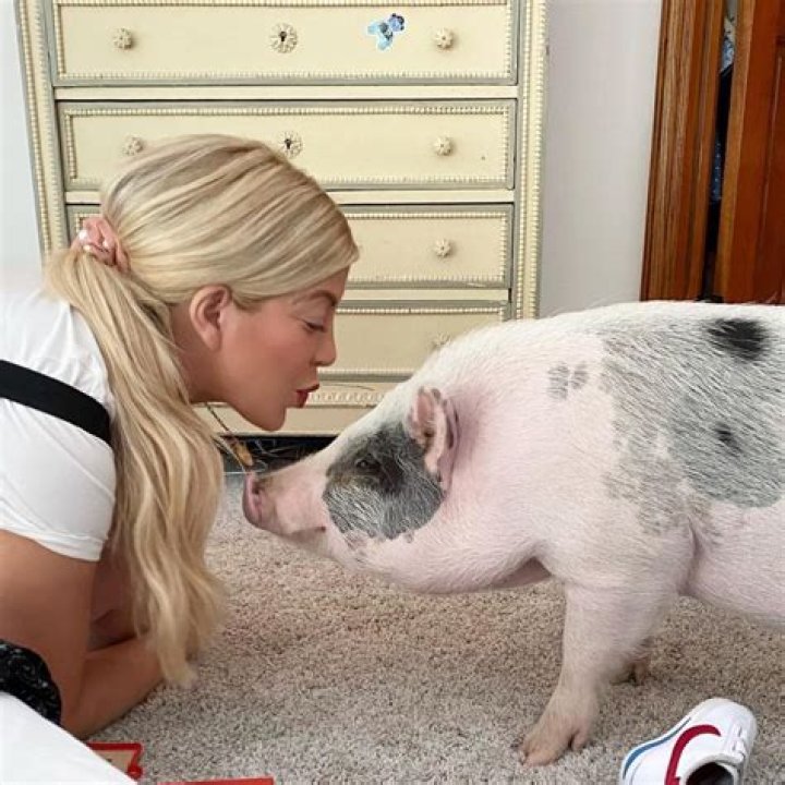 Tori Spelling Joins the Mini Pig Craze